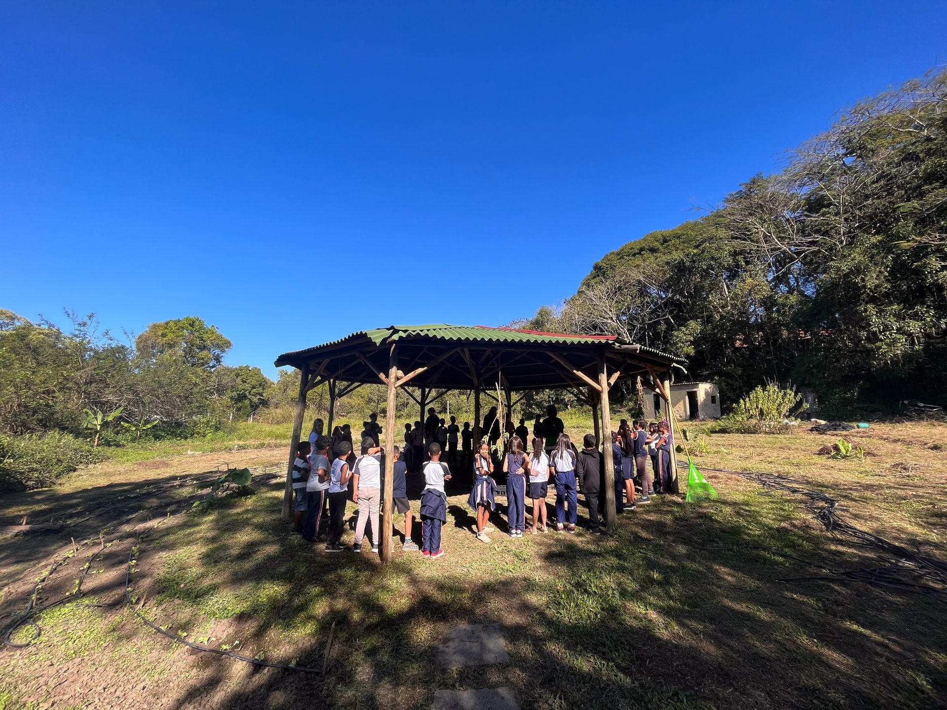 Crianças sob um abrigo de madeira em um campo ensolarado e gramado, com árvores ao fundo.