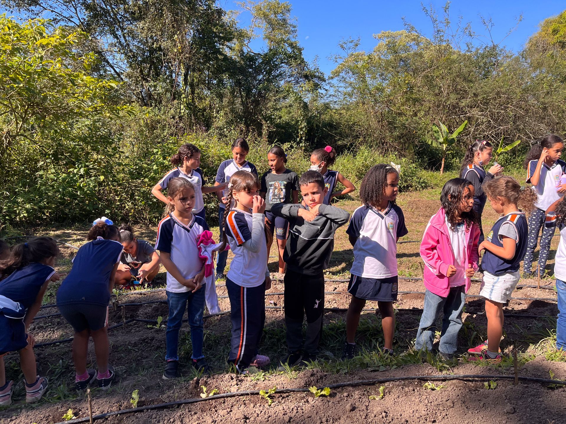 Crianças em pé em um canteiro de jardim, observando plantas. Luz solar, folhagem verde e solo marrom são visíveis.
