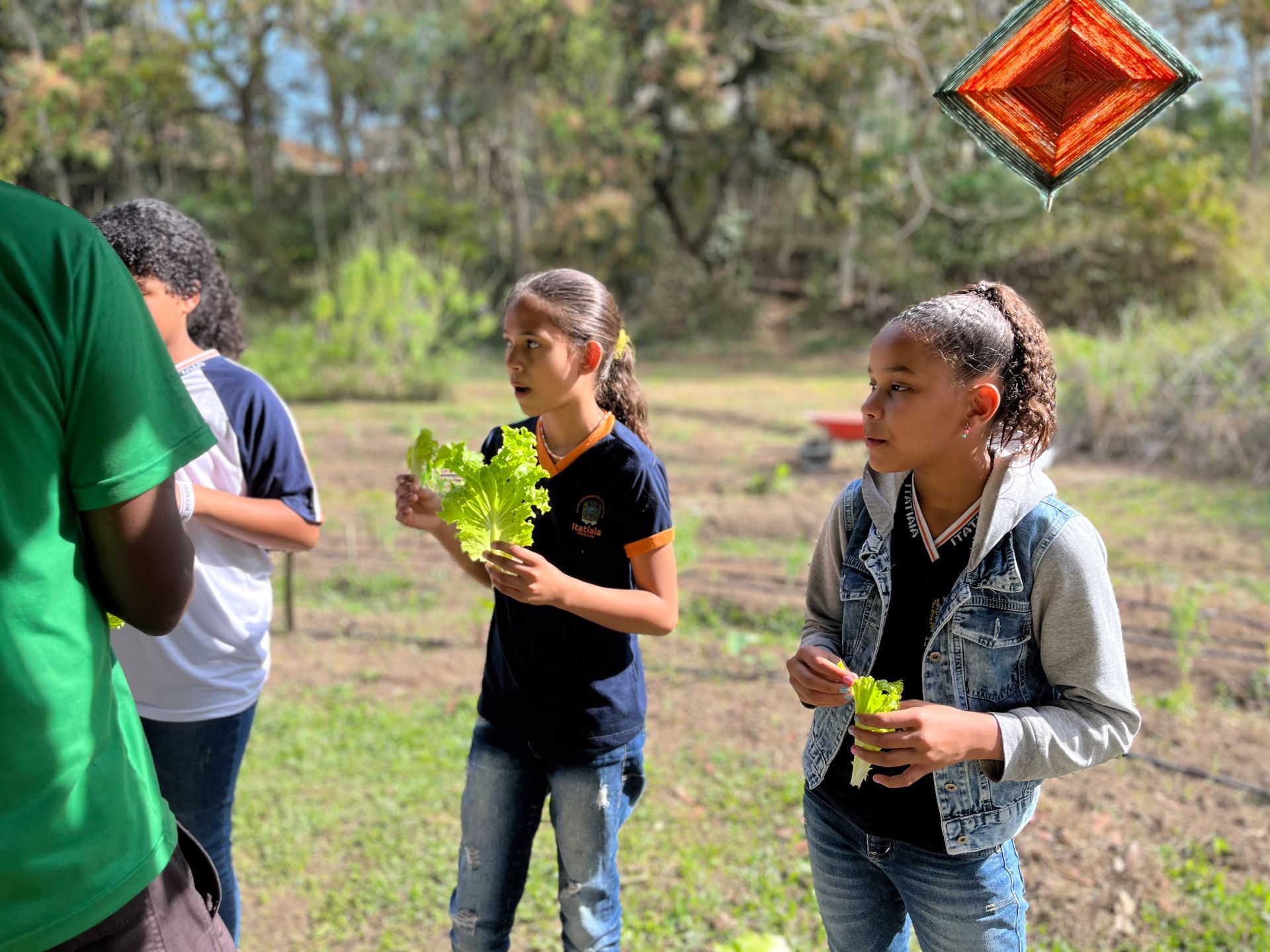 Crianças em um jardim comendo alface. Dia ensolarado, duas meninas segurando folhas, uma delas com jaqueta jeans.