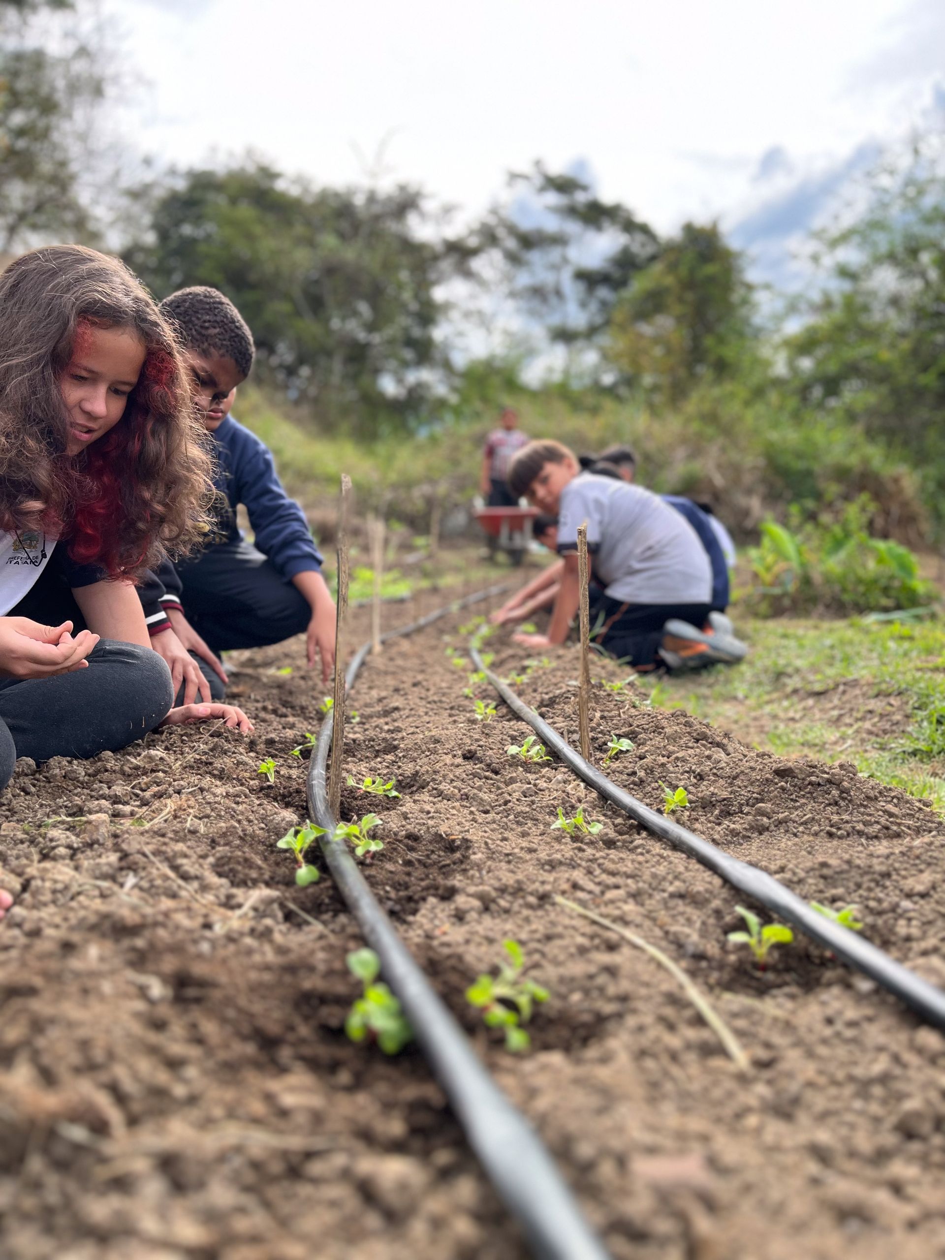 Crianças cuidando de um jardim, plantando mudas. Ao ar livre, com céu nublado. Tubos de irrigação pretos.