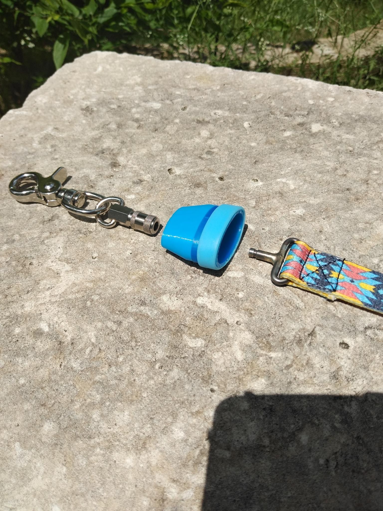 A Dog Leash With a Blue Buckle is Laying on a Rock