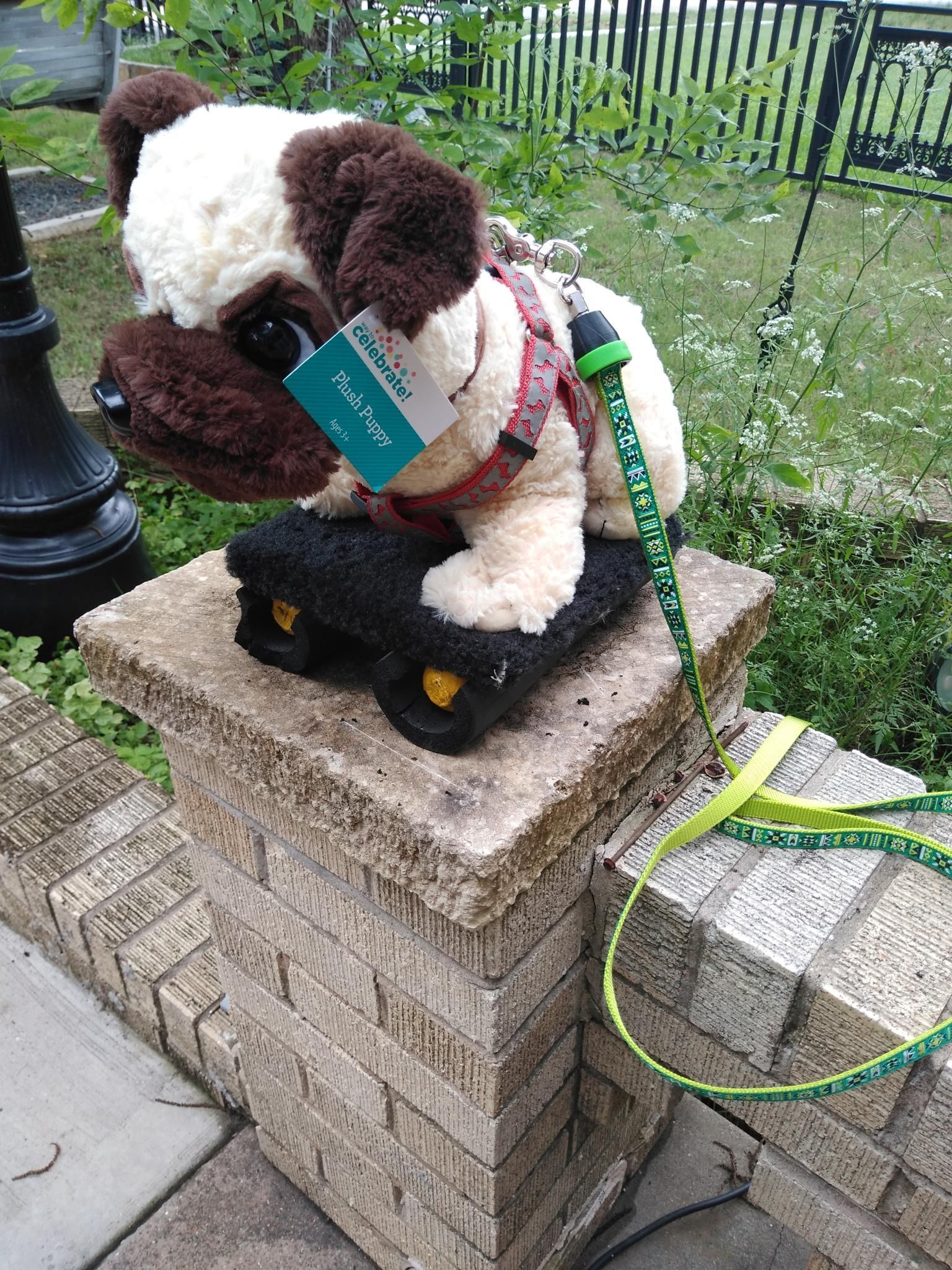 A Stuffed Pug Dog Wearing a Harness and Leash is Sitting on a Brick Block