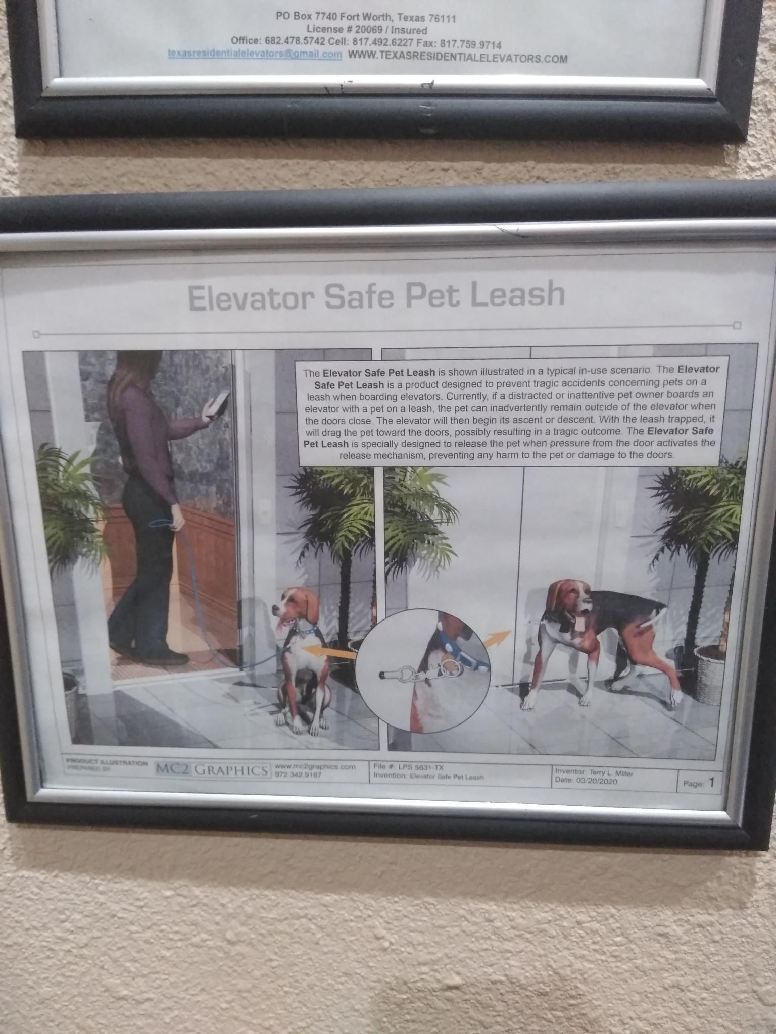 A Framed Picture of an Elevator Safe Pet Leash