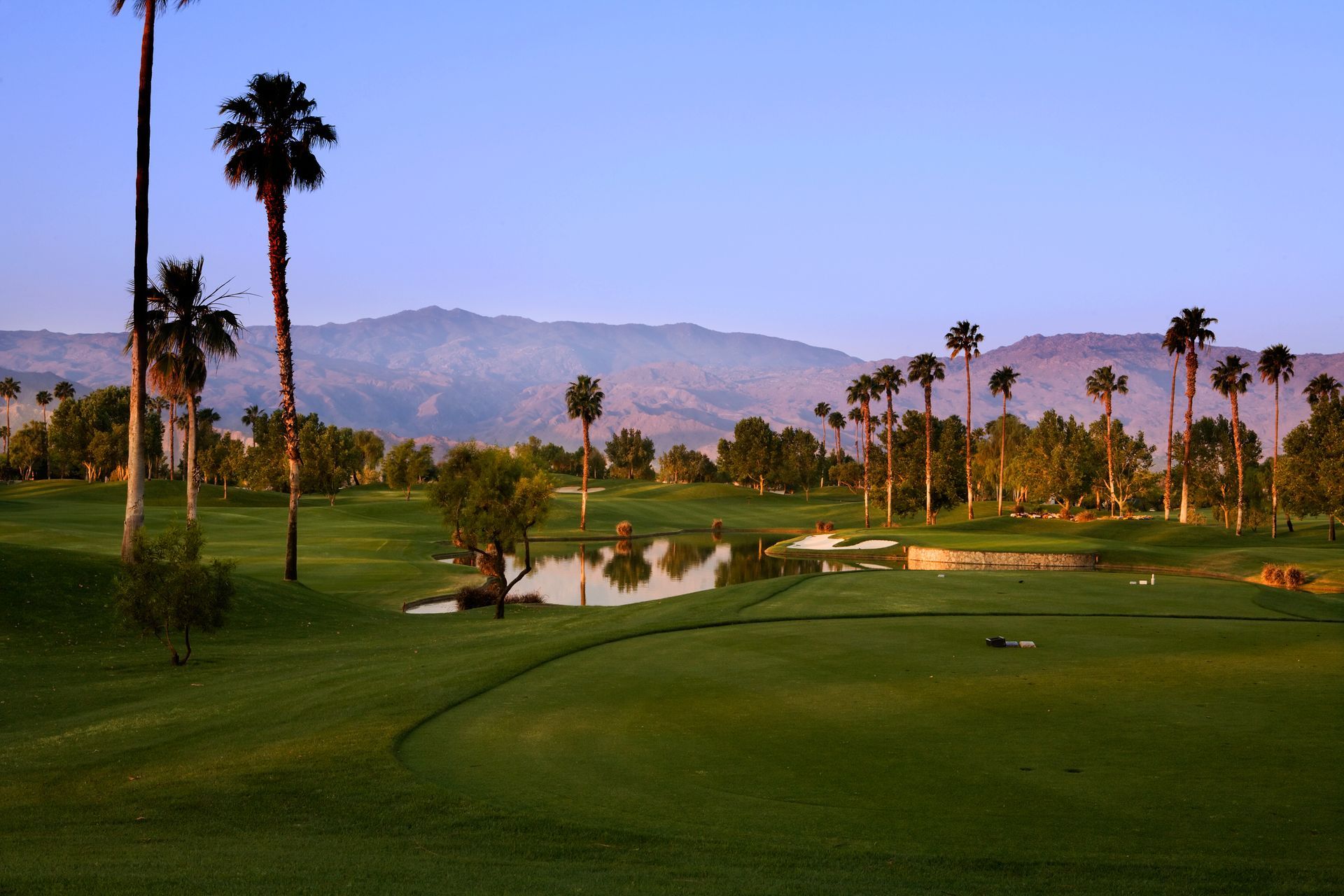 Green golf course with palm trees, a pond, and mountains in the background.