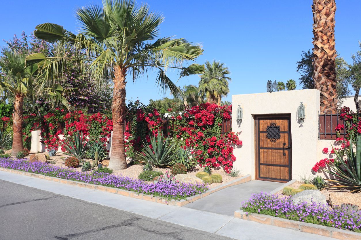 Desert landscaping with bougainvillea, palms, and a wooden gate.