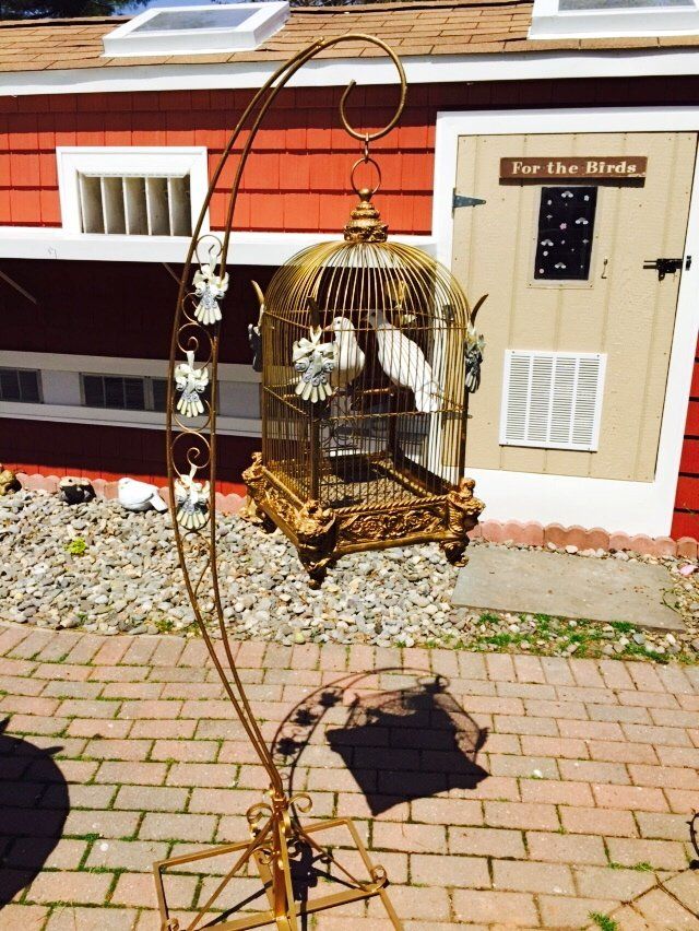 professional dove release service.