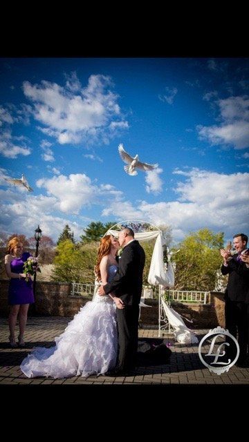 professional dove release service.