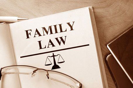 FAMILY LAW book