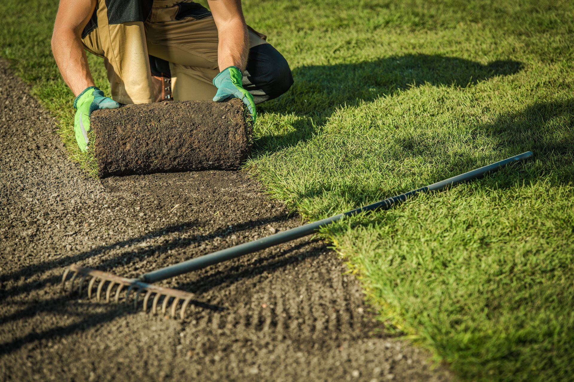 A person in work clothes and green gloves rolls out a piece of sod onto prepared soil next to a rake.