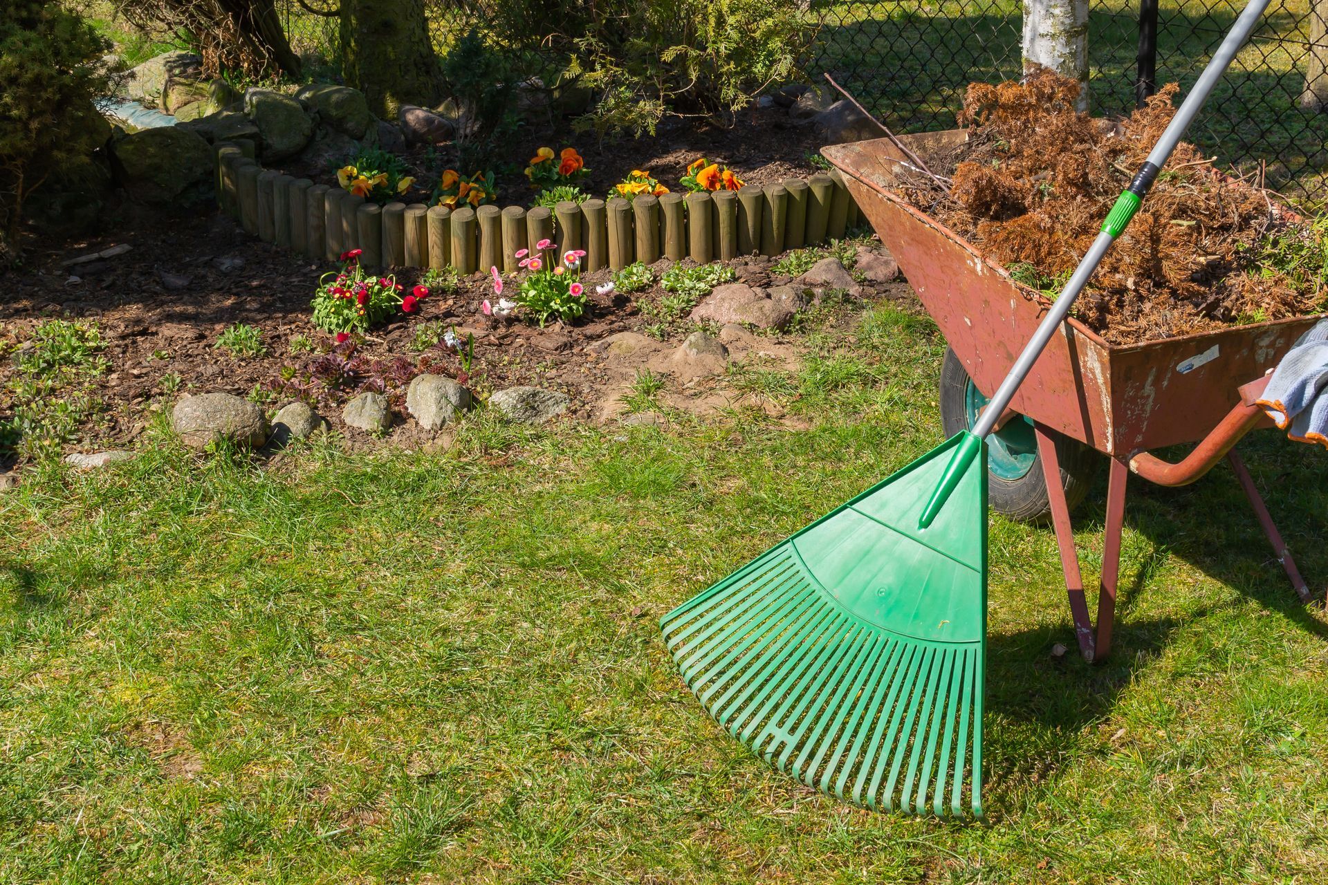 A green lawn rake leans against a wheelbarrow filled with dried garden waste in a sunny yard with a flower bed.