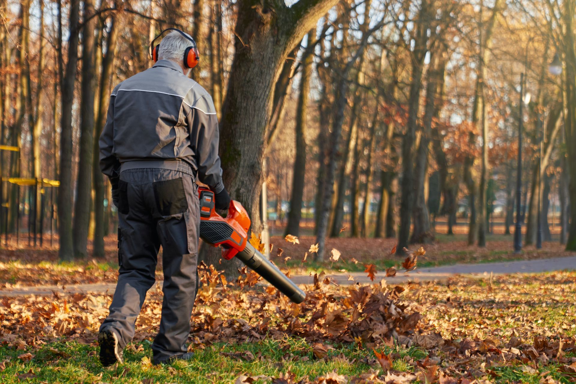 A person wearing a work uniform and earmuffs uses an orange leaf blower to clear autumn leaves in a wooded park.