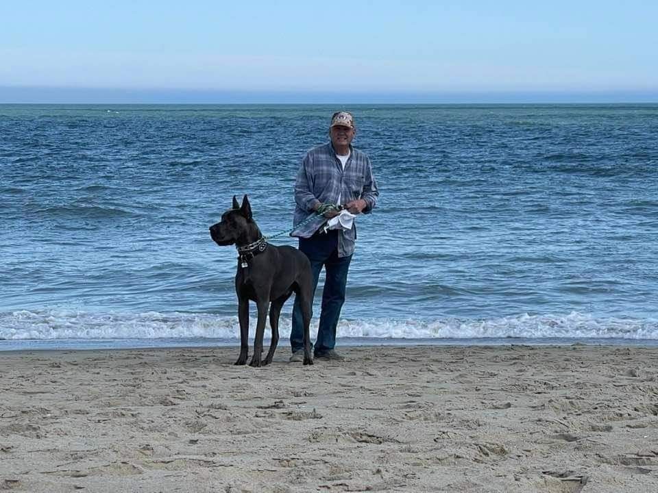 Person stands on a beach with a black dog, facing the ocean.