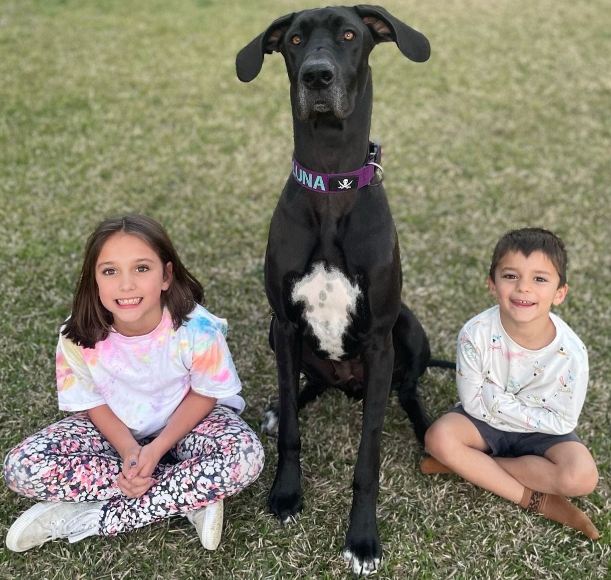 Two children sitting on grass beside a large black dog with a white chest patch