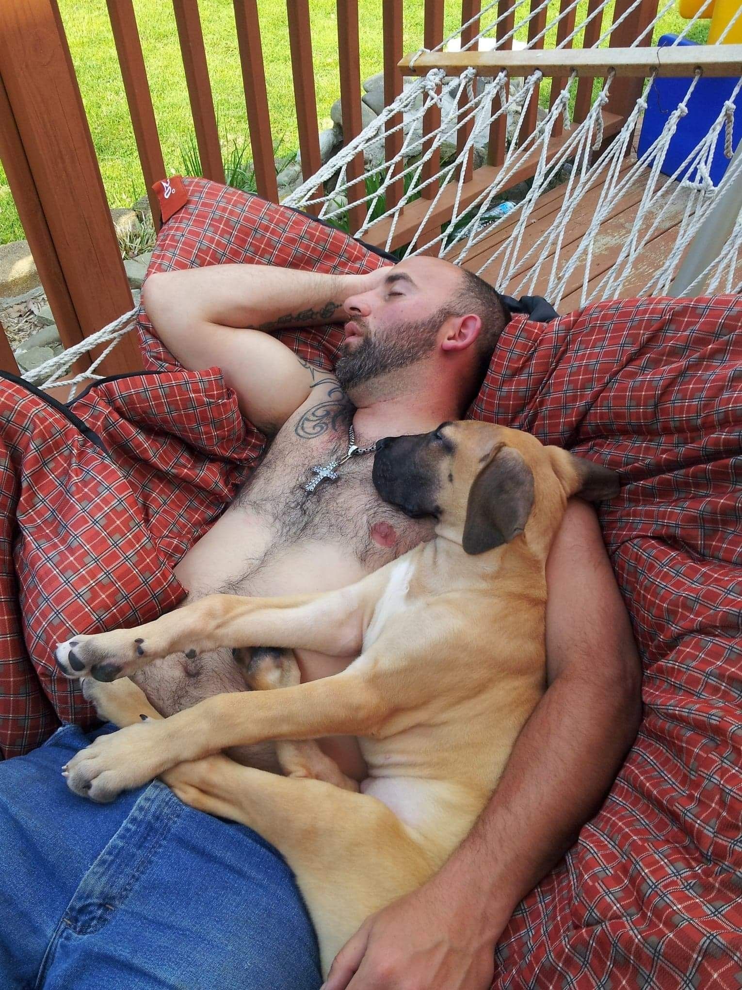 Man sleeping on a hammock with a tan dog resting on his chest and legs.