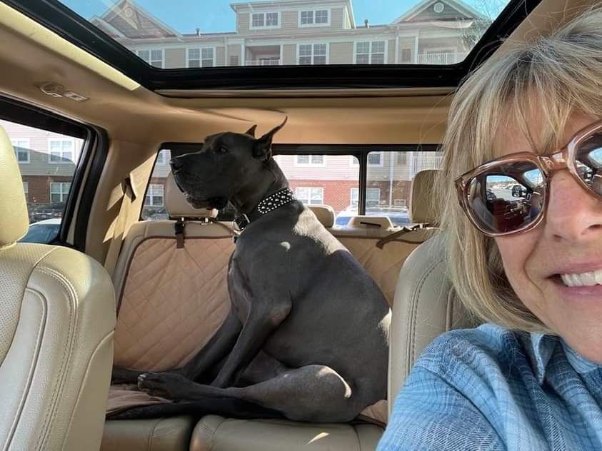 Woman in sunglasses and a black dog sitting in a car with a sunroof open.