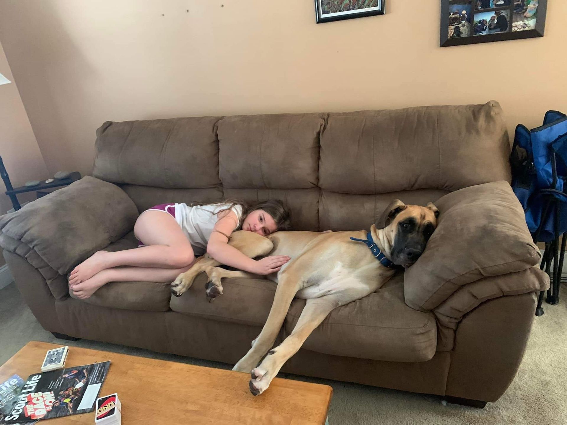 Girl and dog sleeping on a brown couch in a living room