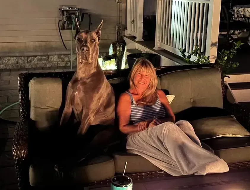 Two people sitting on a couch at night, one holding a small dog, with patio lights and railing behind them
