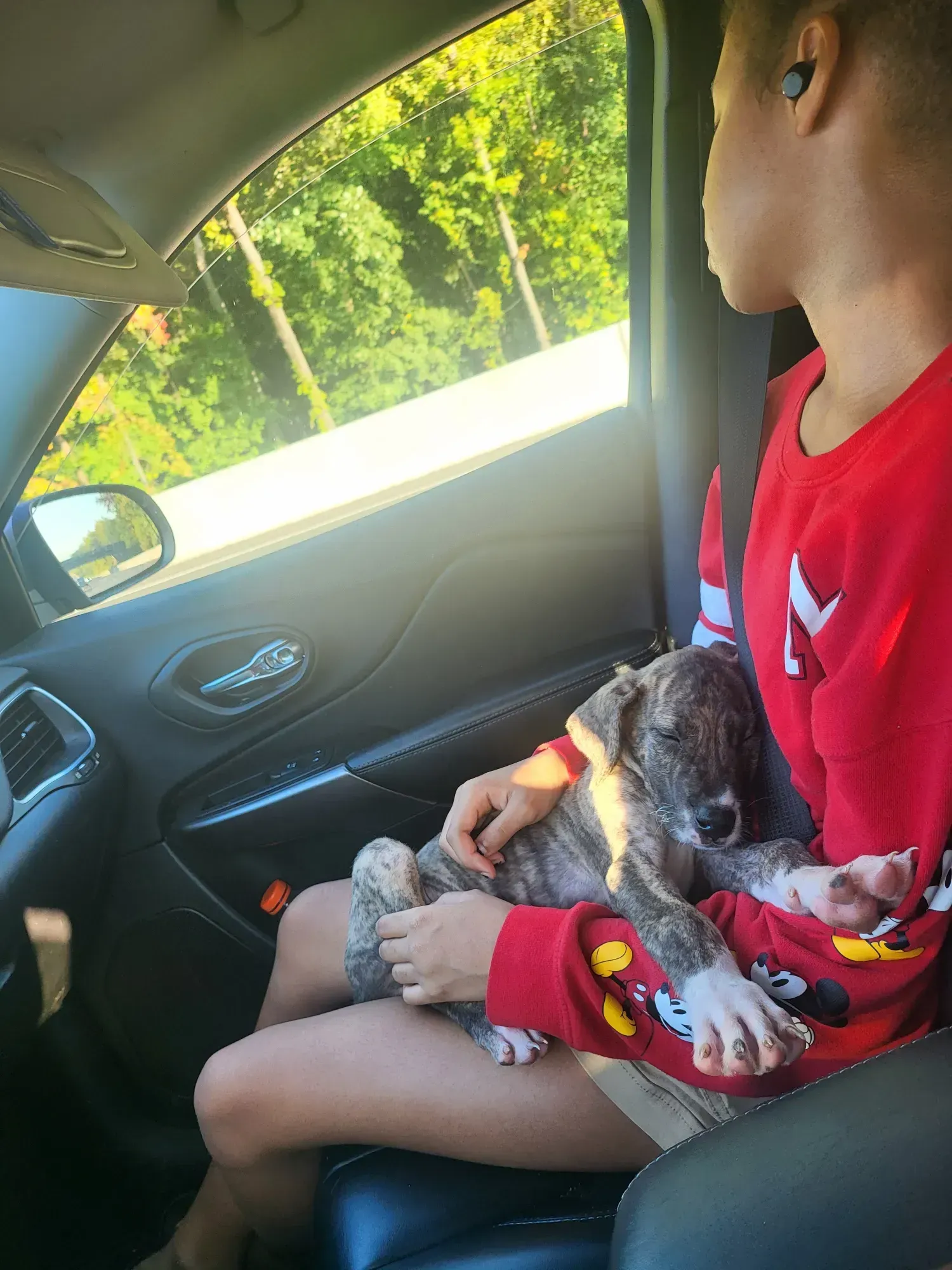 Child holding a small dog in a car, wearing a red shirt, with sunlight streaming through the window