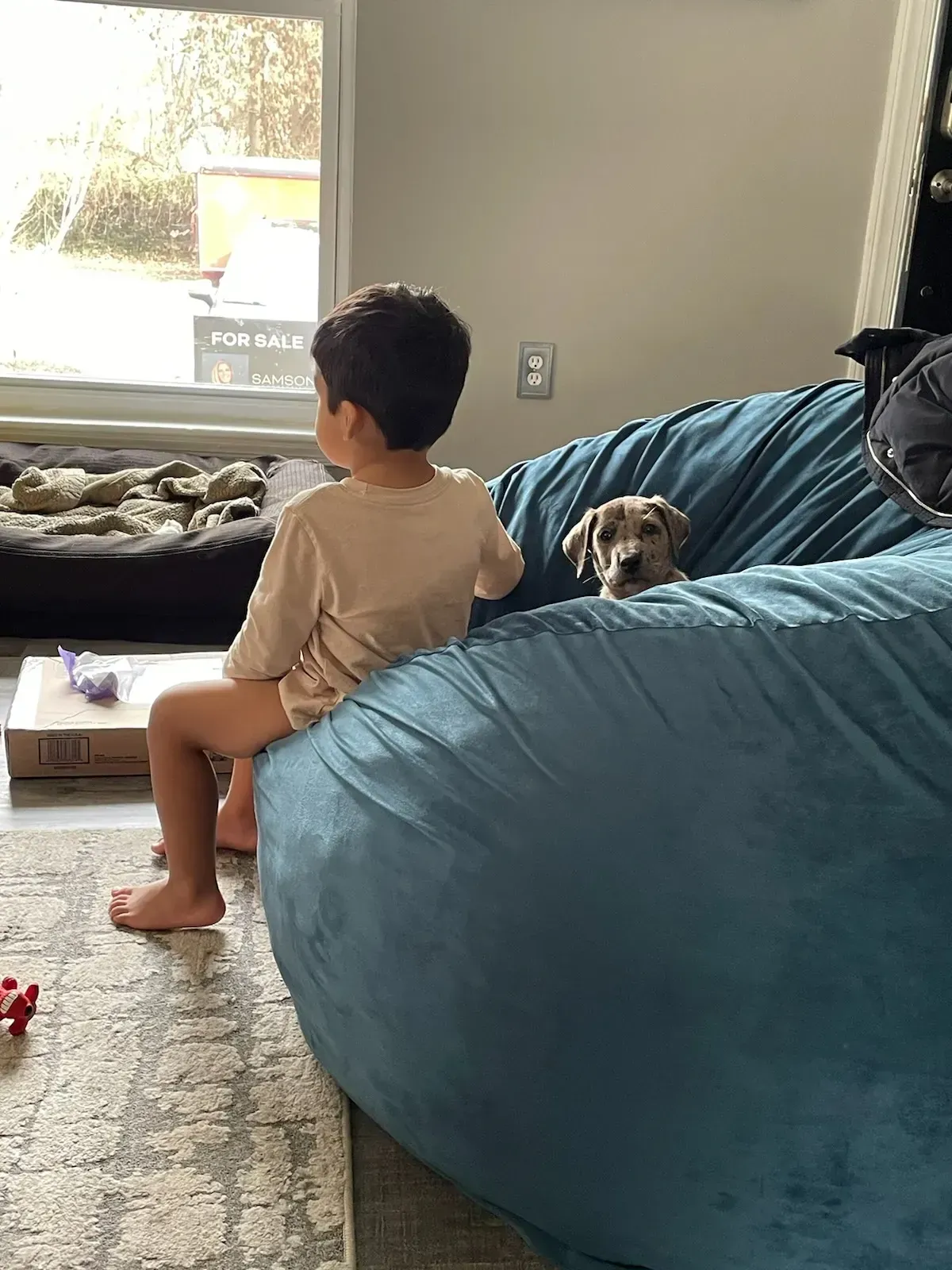 Child sitting on a blue beanbag in a living room, looking out the window while a dog rests nearby.