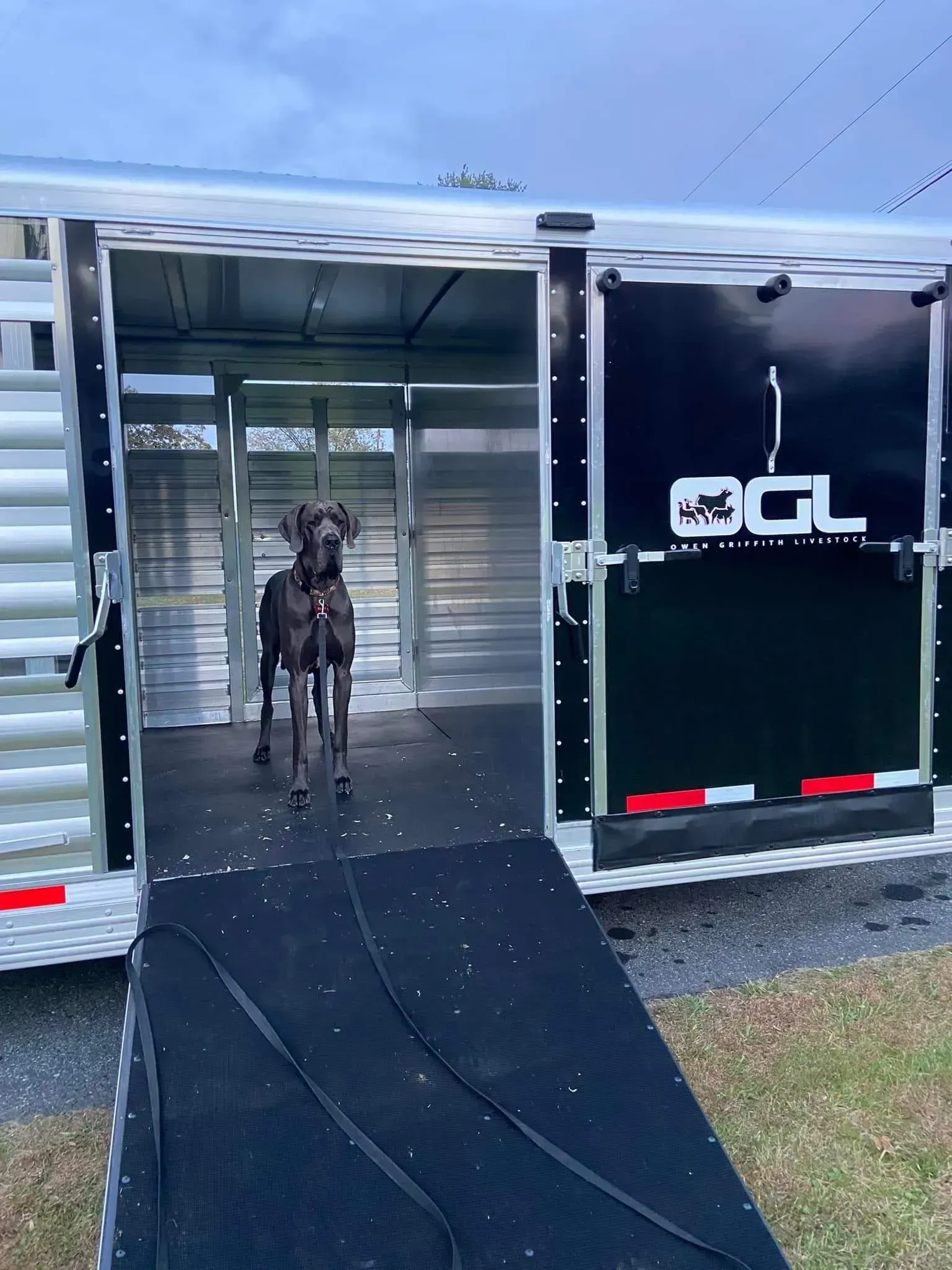 Large black trailer with open ramp and a dog standing inside near the back door.