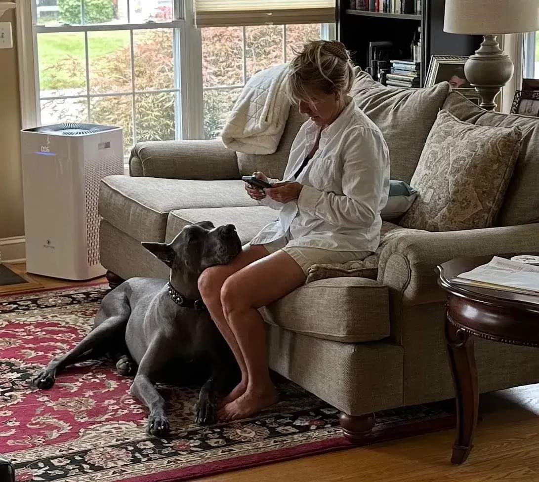 Woman sitting on a couch using a phone while a large dog sits beside her on a patterned rug