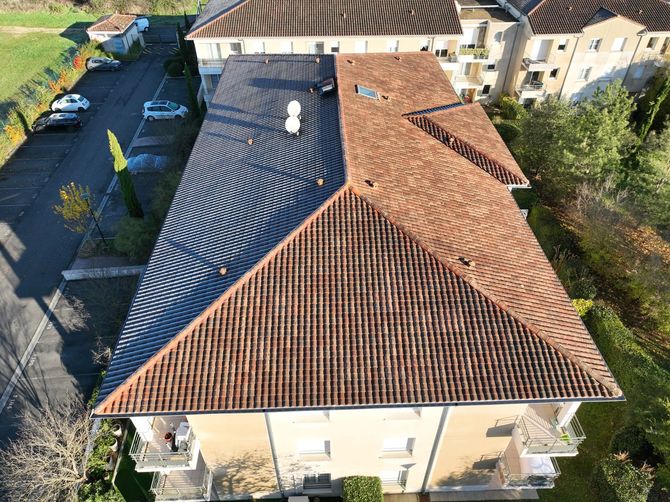 Travaux de démoussage