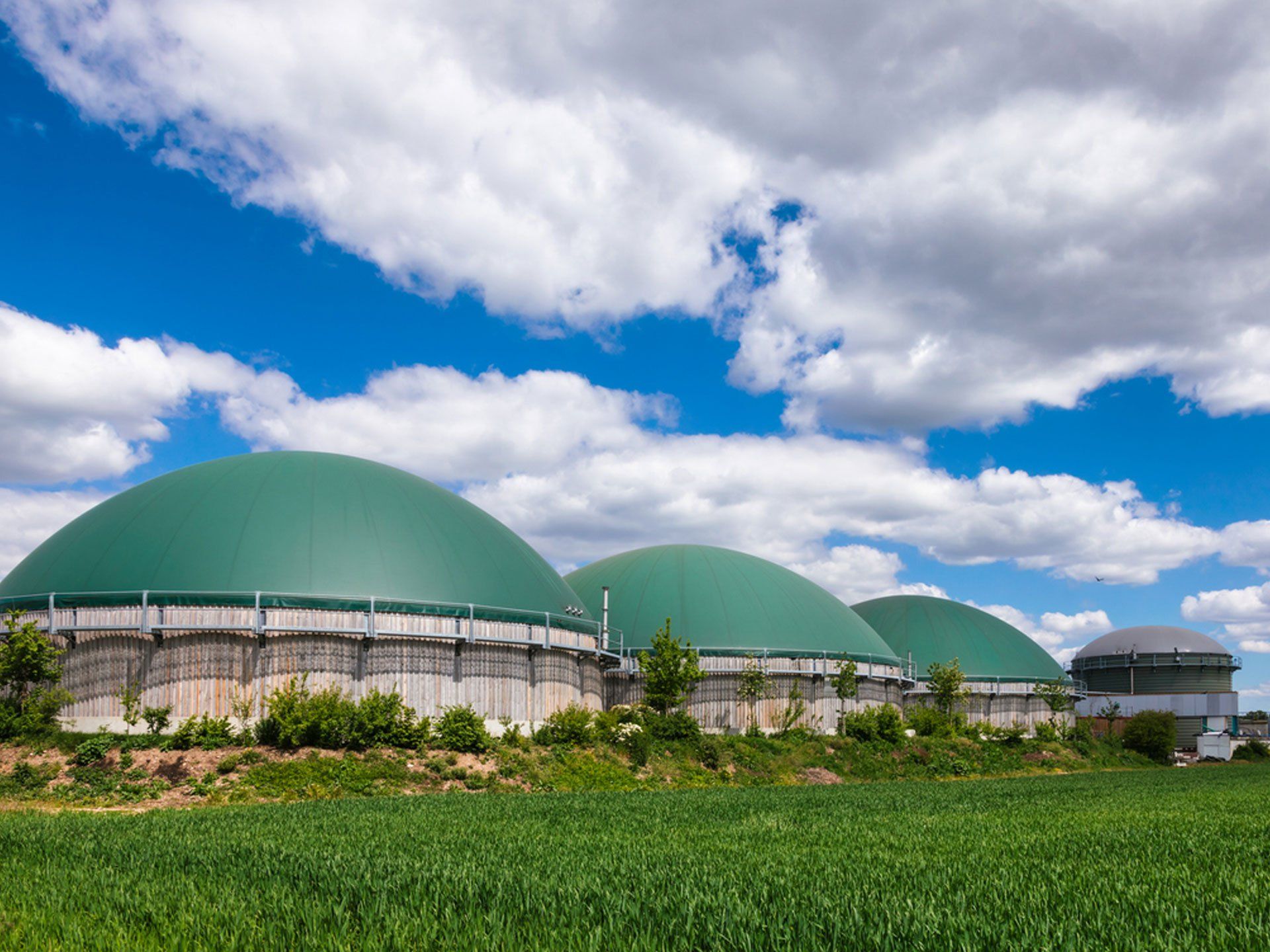 Bio-Digester Facilities