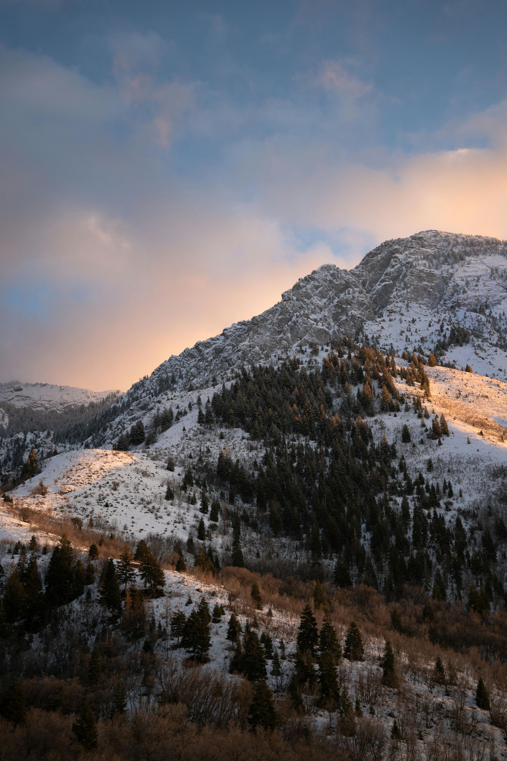 Snow-covered mountain at sunset, with scattered trees and golden light hitting the peaks and clouds.