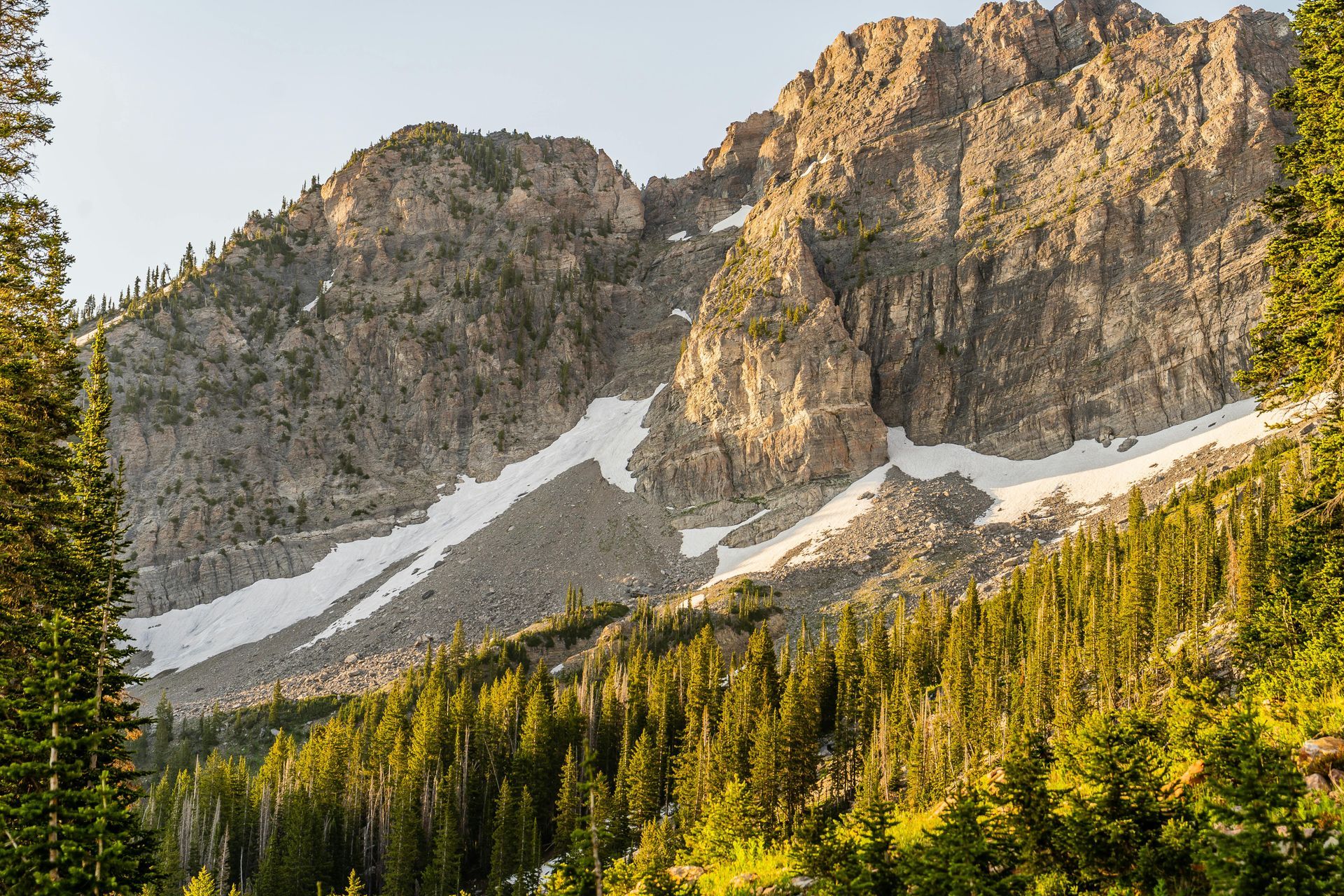 Mountain landscape with snowy patches, green trees in the foreground, and sunlight illuminating the scene.