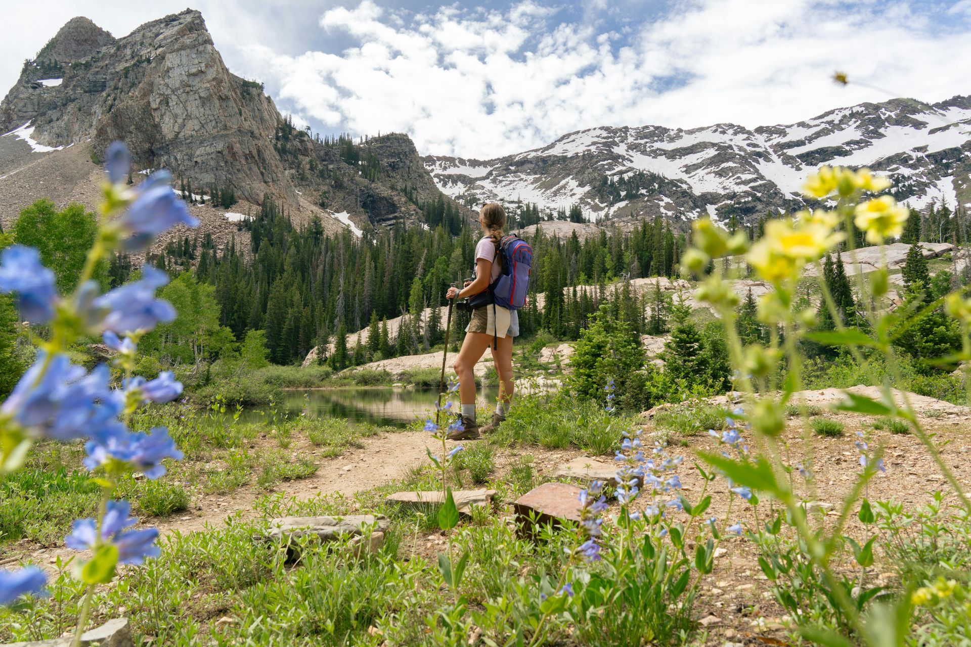 Woman hiking in mountains, carrying backpack, using poles, sunny day, wildflowers, snow-capped peaks.