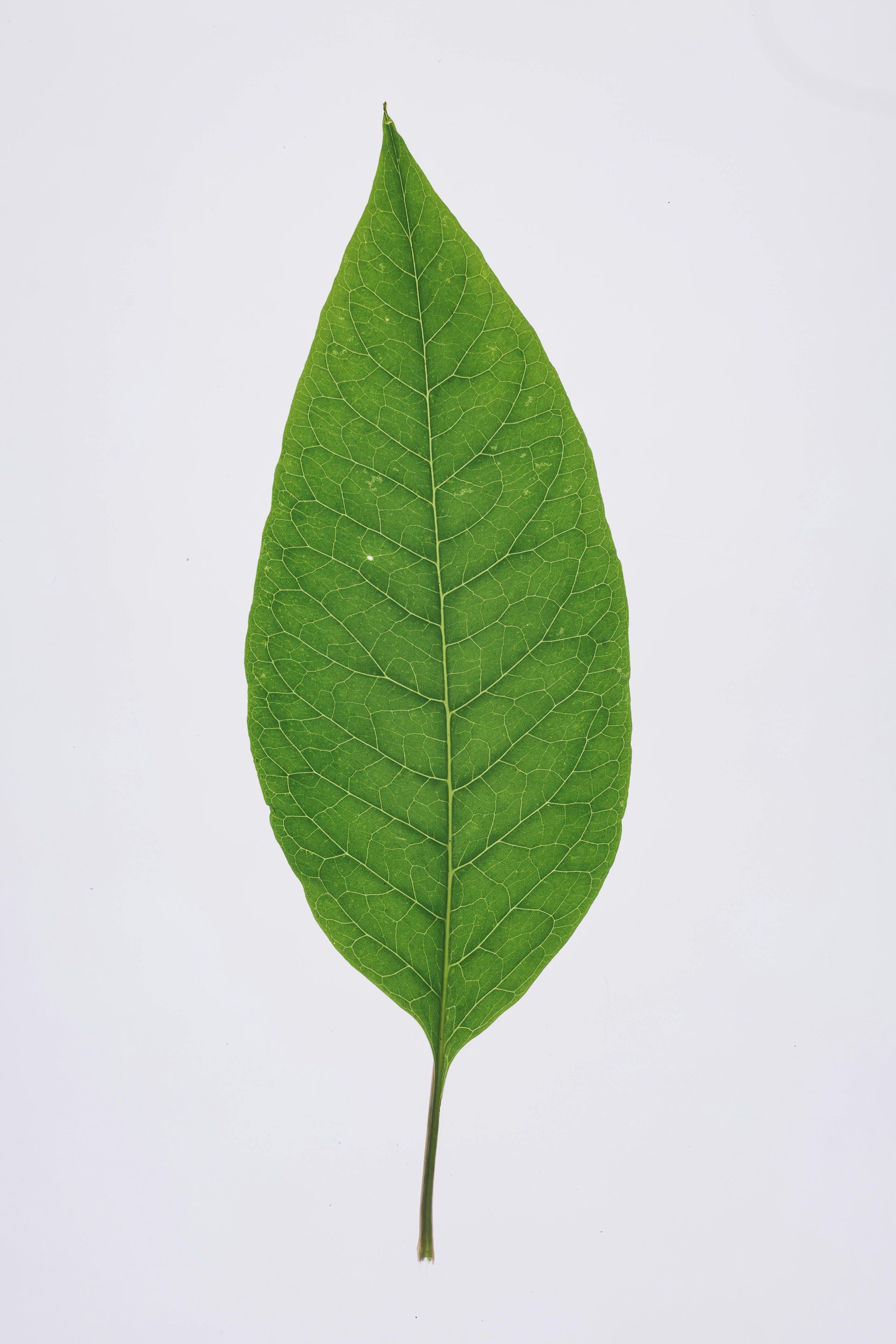 Minimising impact to the environment