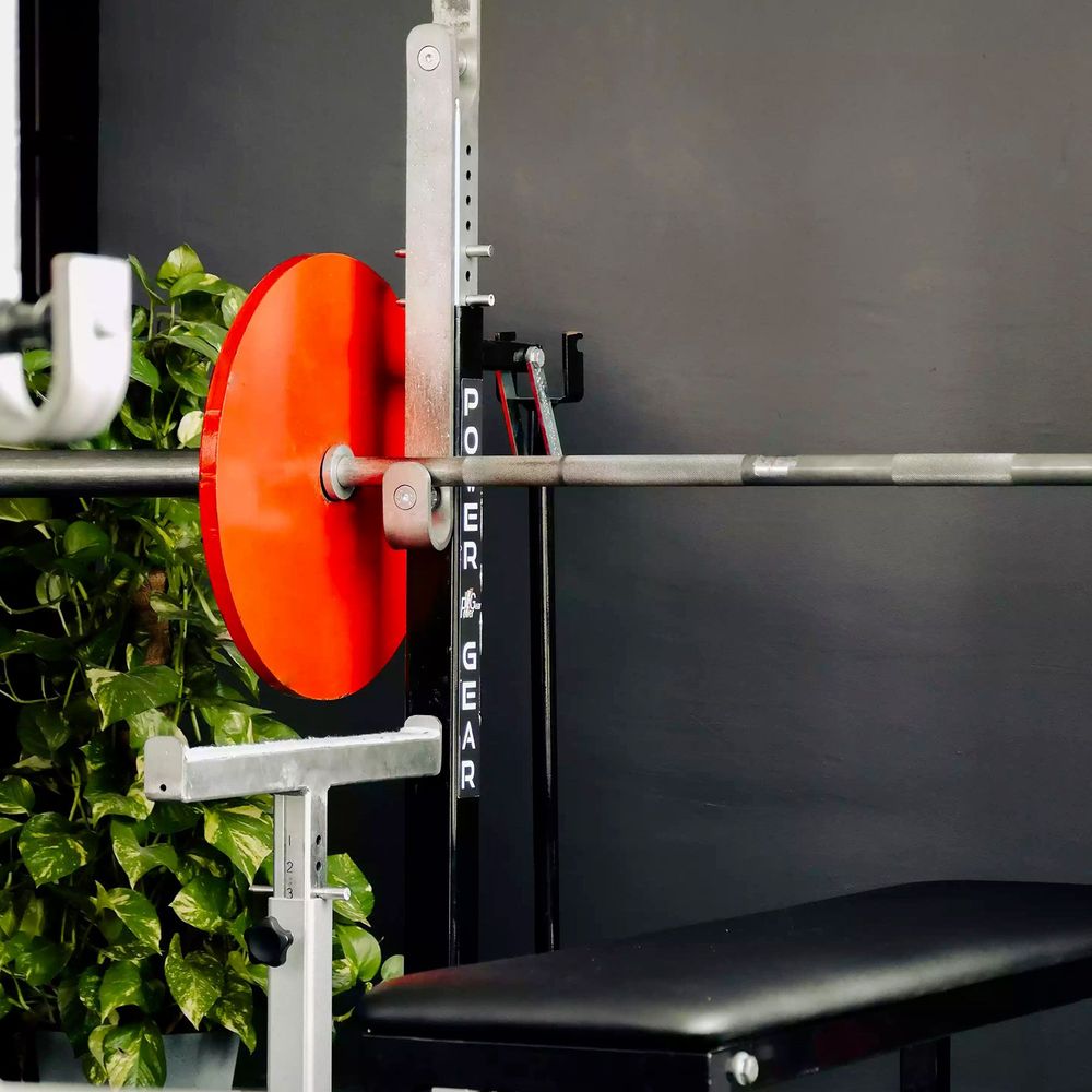 palestra Lifter House