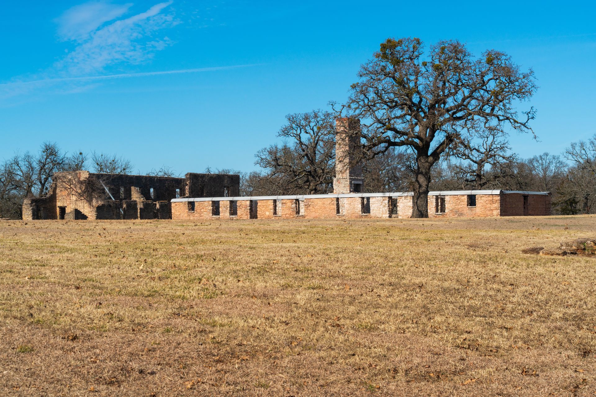 There is a large building in the middle of a field with a tree in the foreground.