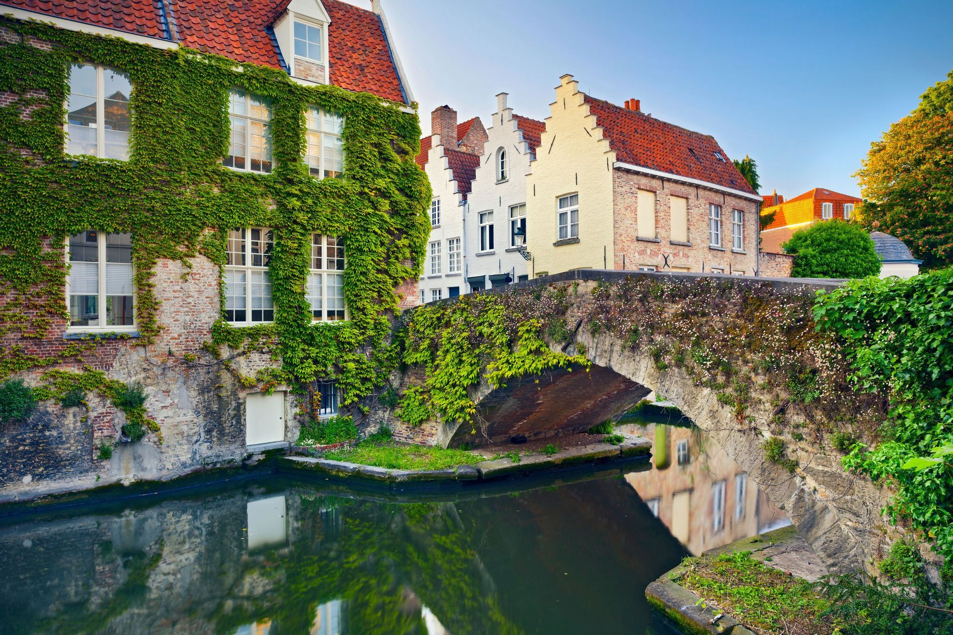 Koninklijk Paleis van Brussel taxi tour