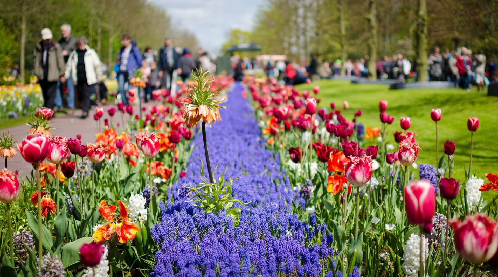 Taxi Van Amsterdam naar Keukenhof