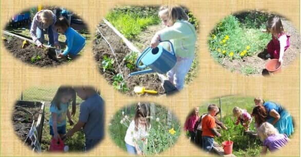 Kids Pre Plating Activity — Child learning center in Loomis, CA