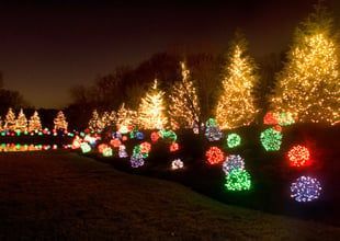 Holiday lights illuminate a night scene. Lit evergreen trees and ground-level orbs of color decorate a lawn.