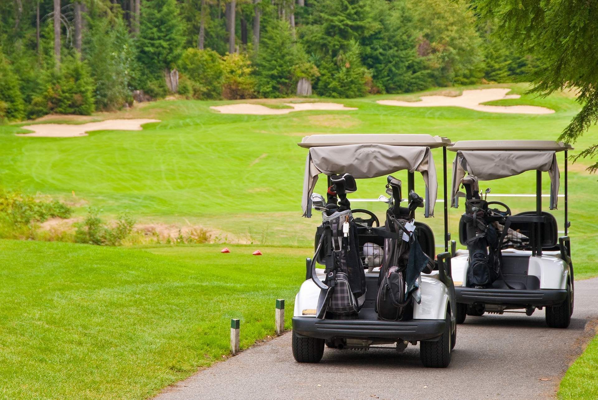 two golf carts are driving down a path on a golf course .