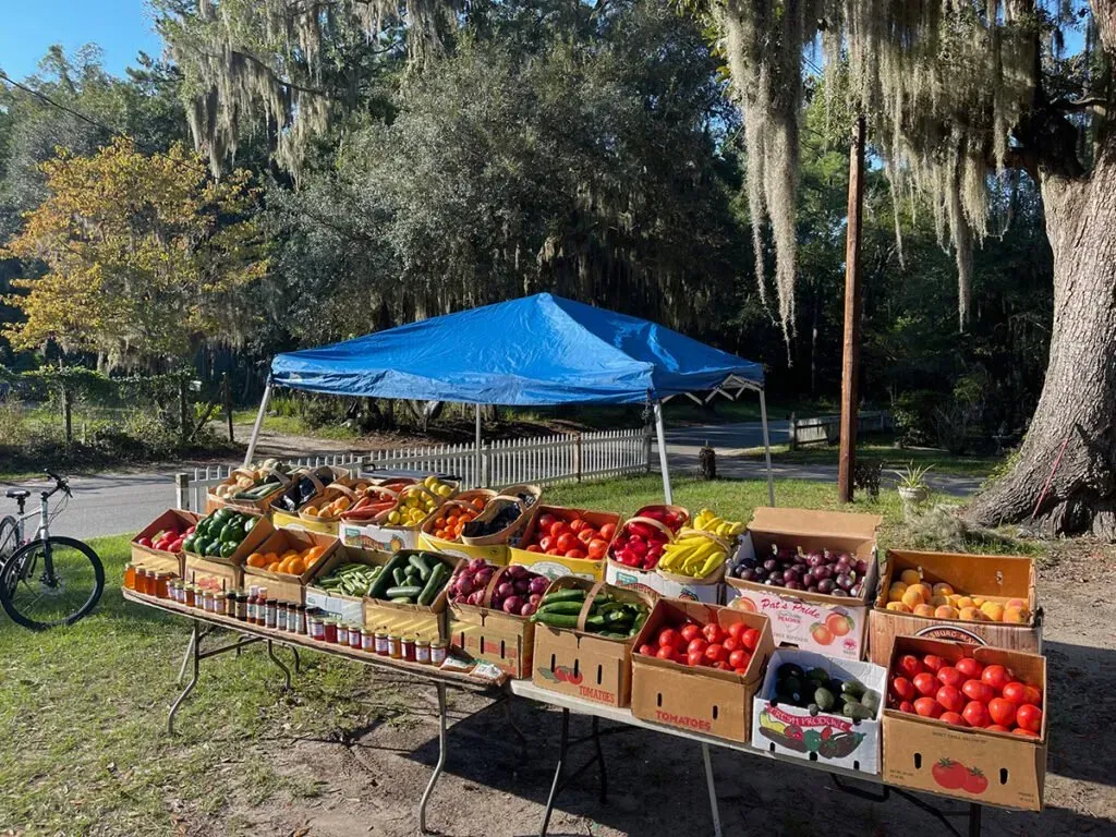 Fresh Fruits & Local Fish in Daufuskie Island, SC