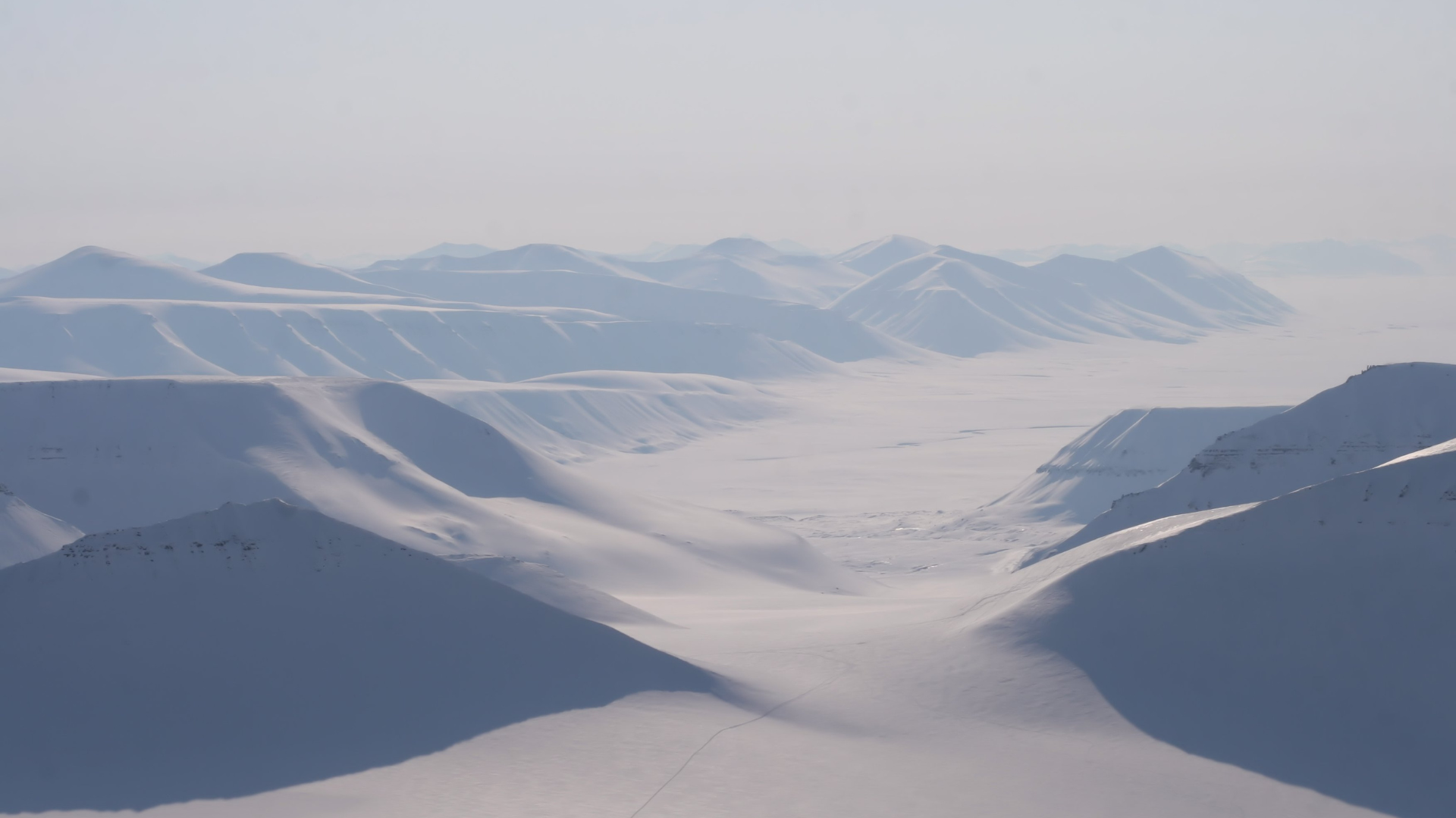 Svalbard Journeys in January