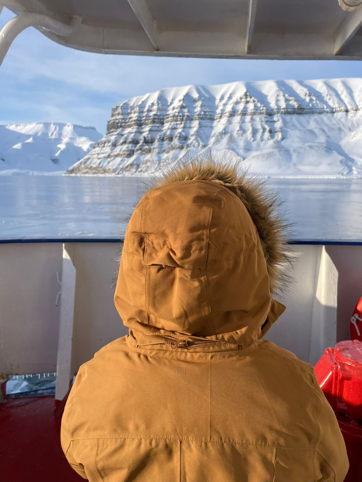 A person wearing a brown jacket with a fur hood is looking out of a window at snowy mountains.