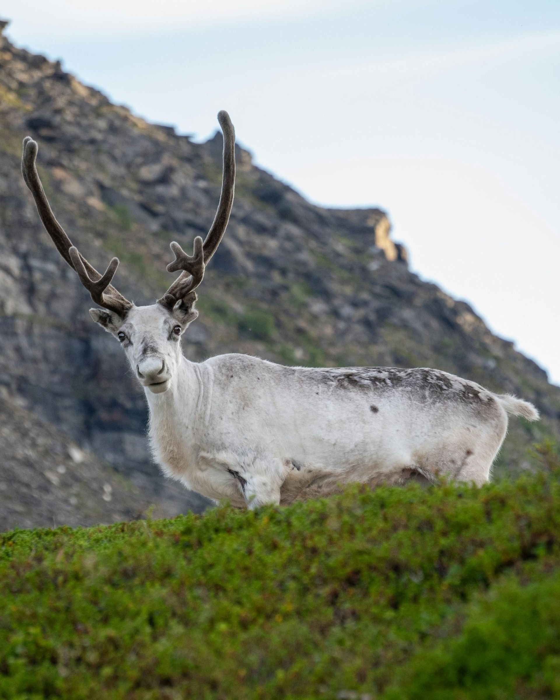 A group of people are standing on the deck of a boat looking at a glacier.