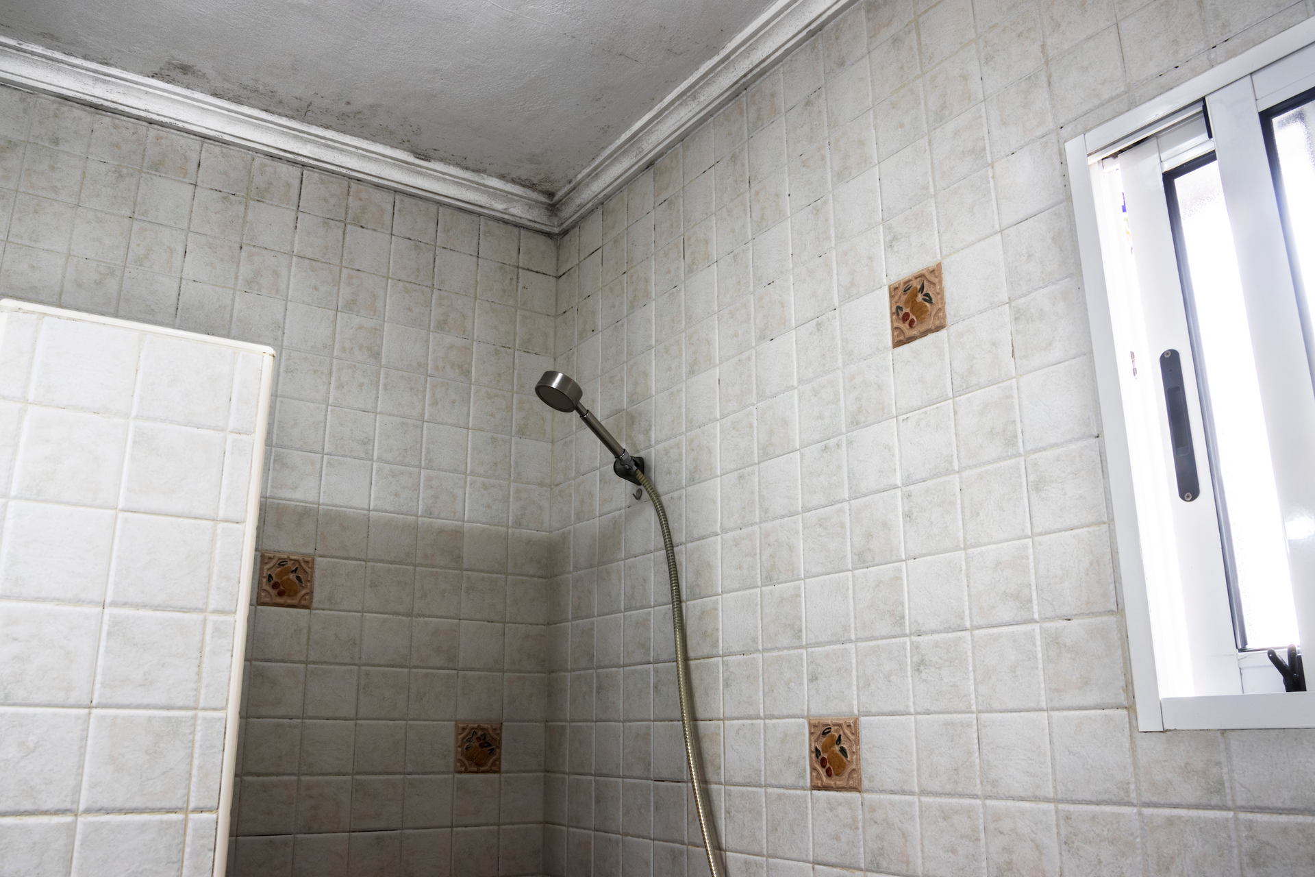 A bathroom with a shower head and a window.