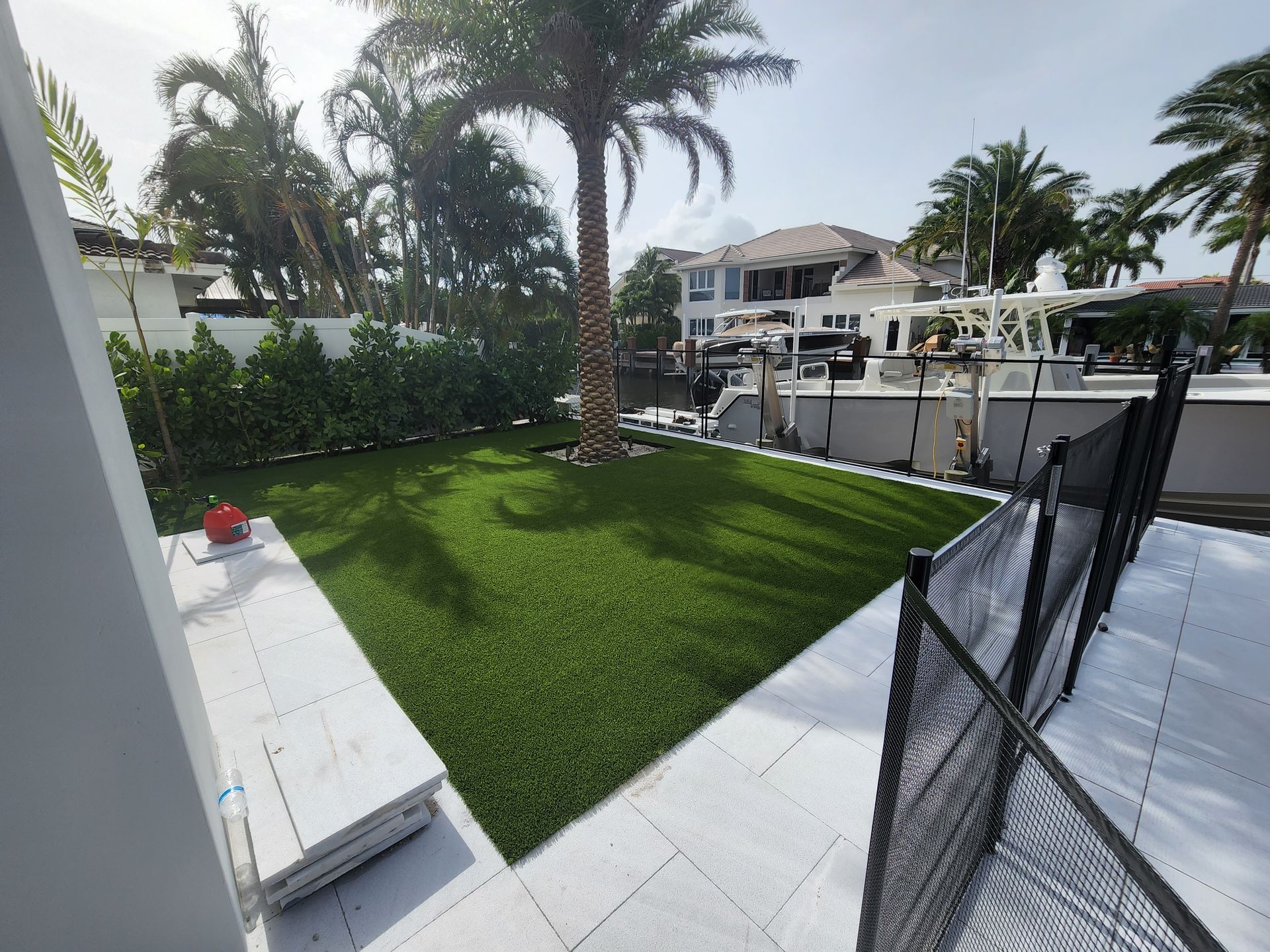 A backyard with a fence and a palm tree