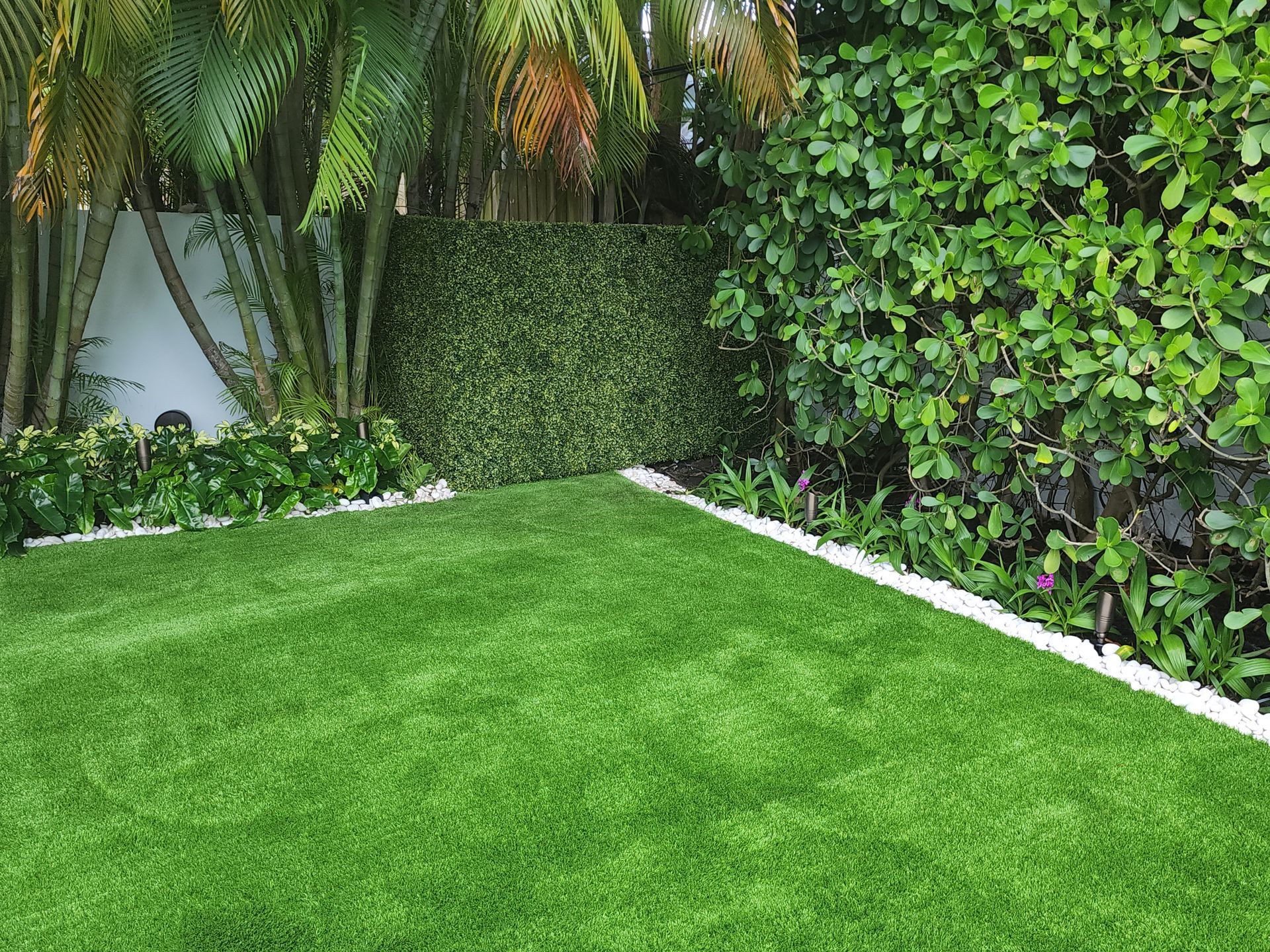 A backyard with a lush green lawn and a hedge.