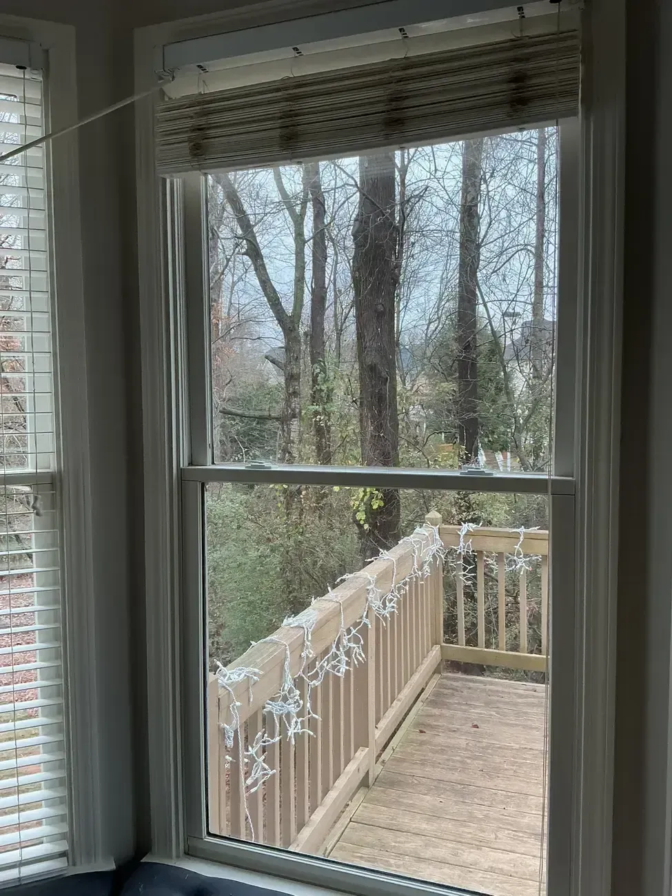 View through a window to a wooden deck and railing with trees beyond