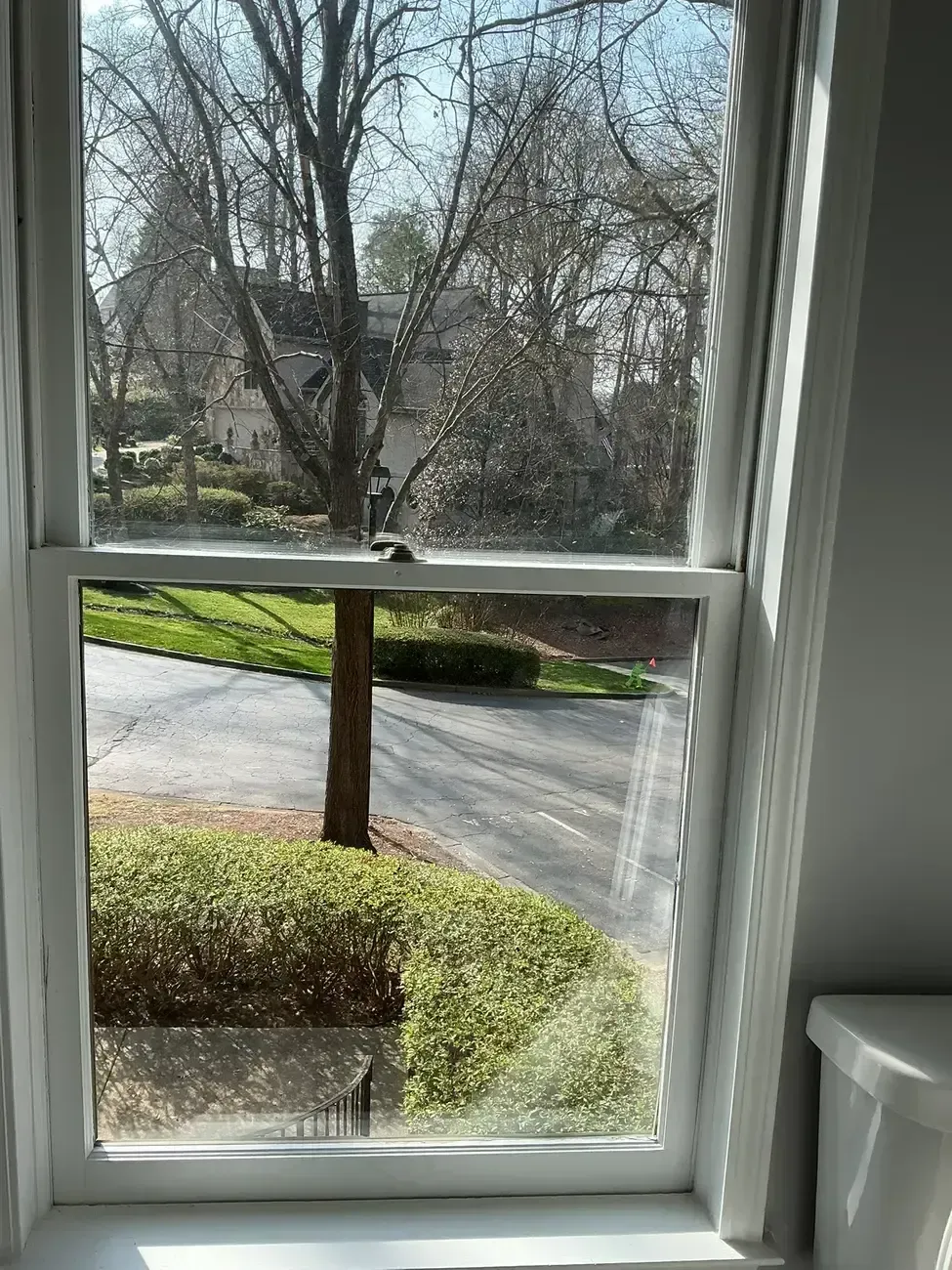 View through a window of a tree-lined street and hedge in daylight