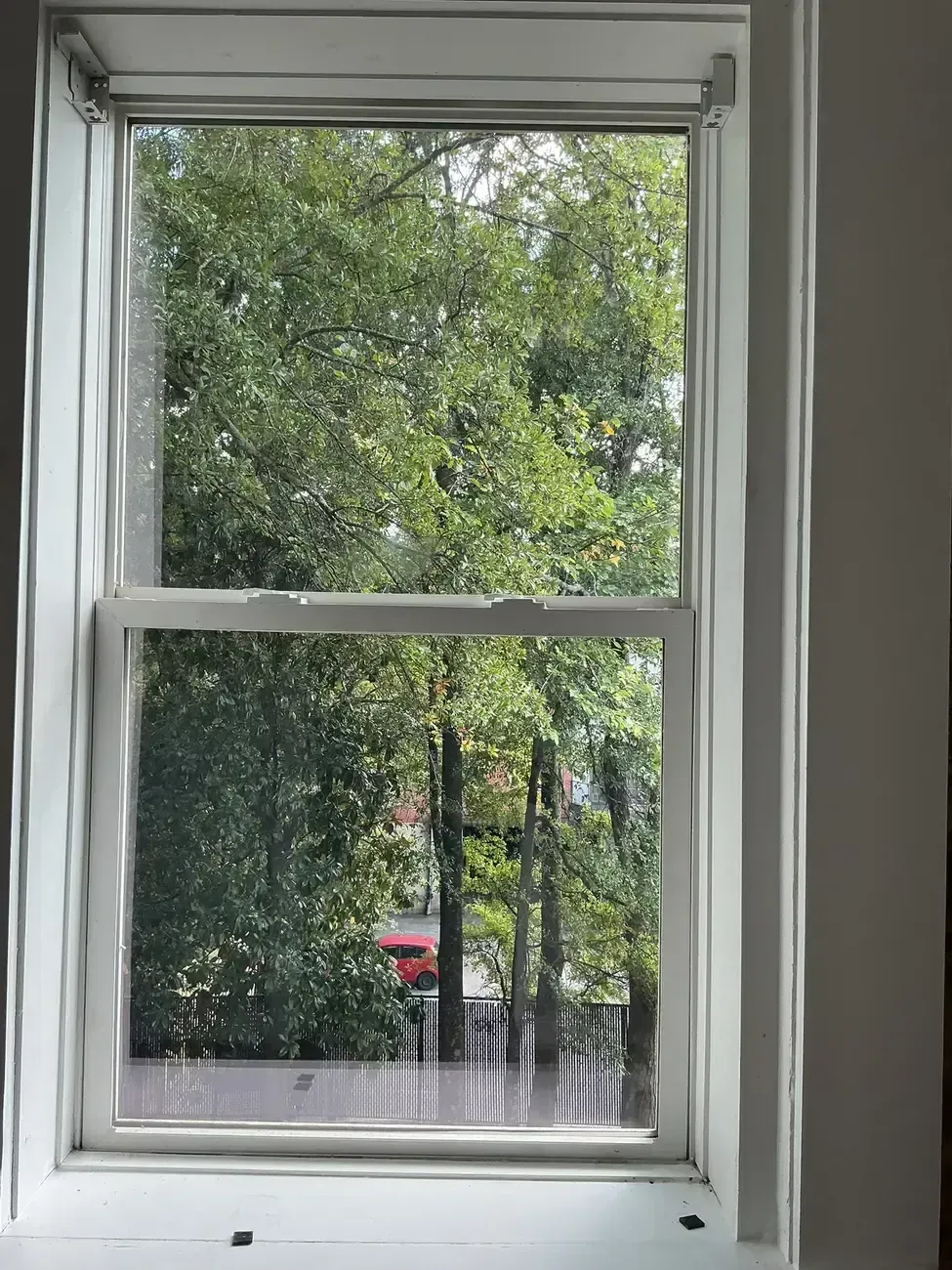 Open white window with leafy trees and a red object visible outside