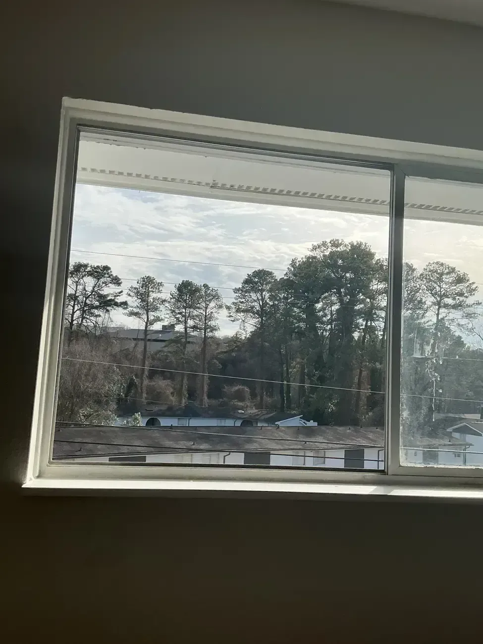 Window view of trees and a cloudy sky above a parking lot, with a tilted white window frame