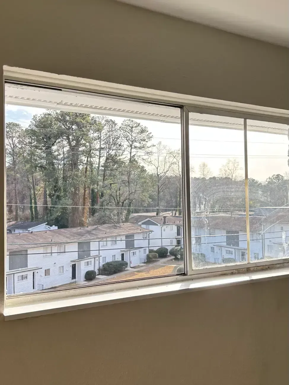 View through a window of a wooded neighborhood with white buildings and tall trees at dusk